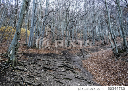Strazov hill, Strazov Mountains, Slovakia Strazov hill, Strazov Mountains, Slovakia 60346780