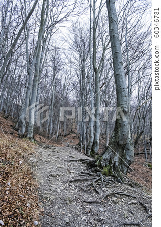 Strazov hill, Strazov Mountains, Slovakia Strazov hill, Strazov Mountains, Slovakia 60346781