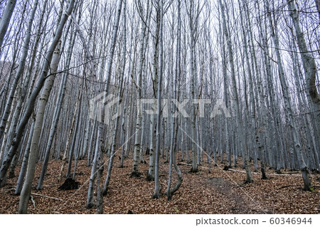 Strazov hill, Strazov Mountains, Slovakia Strazov hill, Strazov Mountains, Slovakia 60346944
