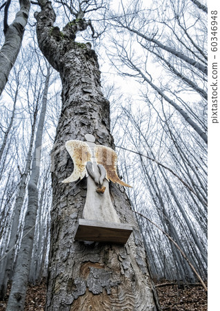 Symbolic angel on the tree, Strazov Mountains, Symbolic angel on the tree, Strazov Mountains, 60346948