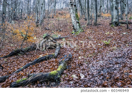 Strazov hill, Strazov Mountains, Slovakia Strazov hill, Strazov Mountains, Slovakia 60346949