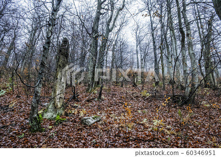 Strazov hill, Strazov Mountains, Slovakia Strazov hill, Strazov Mountains, Slovakia 60346951