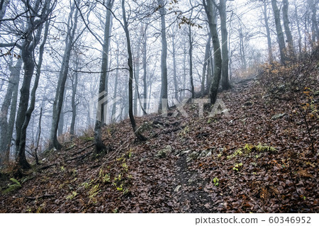 Strazov hill, Strazov Mountains, Slovakia 60346952