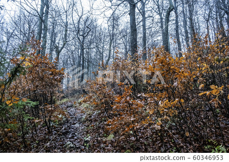 Strazov hill, Strazov Mountains, Slovakia Strazov hill, Strazov Mountains, Slovakia 60346953