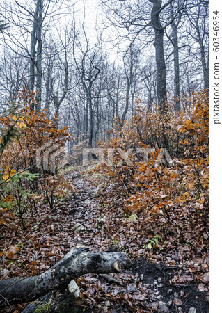 Strazov hill, Strazov Mountains, Slovakia Strazov hill, Strazov Mountains, Slovakia 60346954