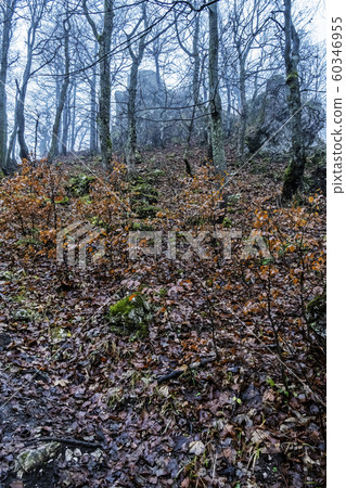 Strazov hill, Strazov Mountains, Slovakia Strazov hill, Strazov Mountains, Slovakia 60346955
