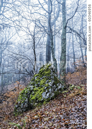 Strazov hill, Strazov Mountains, Slovakia 60346956