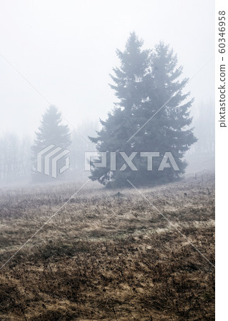 Foggy landscape, Strazov hill, Strazov Mountains, Foggy landscape, Strazov hill, Strazov Mountains, 60346958