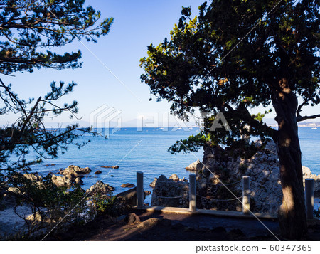 Shonan (Winter) 60347365