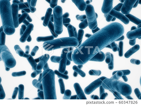 3D rendering Bacteria closeup on white background 3D rendering Bacteria closeup on white background 60347826