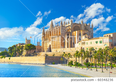 The Cathedral of Santa Maria of Palma and Parc del Mar near, Majorca, Spain 60348236