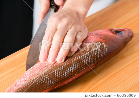 Fish board in front of fish 60350009