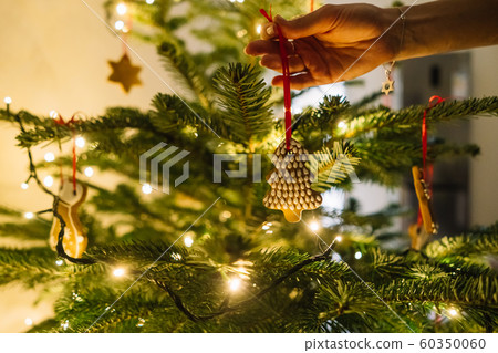 Female hand hangs a gingerbread snowflake on the Christmas tree 60350060