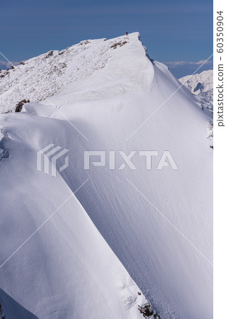 Spring Okino Ear (Tanigawadake) 60350904