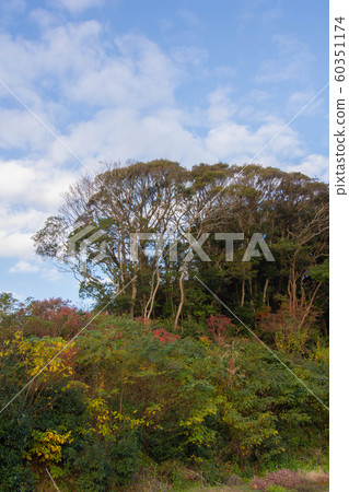 Autumn scenery 60351174