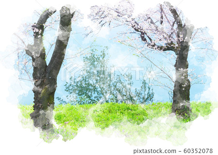 天空和櫻花反映在水中的水彩風格 60352078
