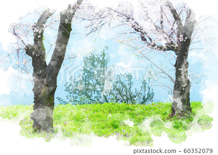 天空和櫻花反映在水中的水彩風格 60352079