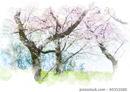Sky and cherry blossoms reflected in water Watercolor style 60352080