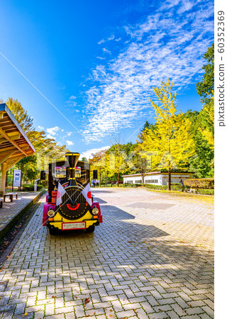 秩父繆斯公園銀杏樹[Sa玉縣] 60352369