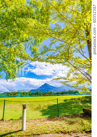 秩父繆斯公園銀杏樹和武子山[Sa玉縣] 60352387