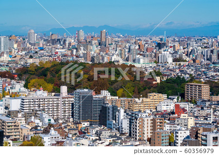 Blue Sky and Koishikawa Botanical Garden Overlooking Bunkyo-ku, Tokyo 60356979