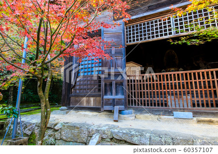 Autumn leaves at Manpukuji Temple [Takeo City, Saga Prefecture] 60357107