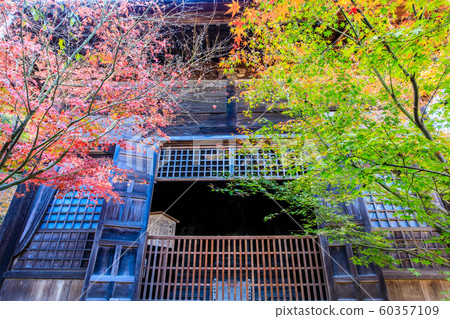 Autumn leaves at Manpukuji Temple [Takeo City, Saga Prefecture] 60357109
