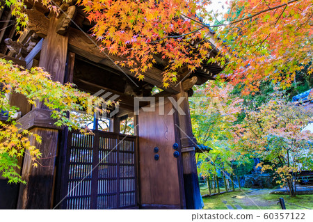 Autumn leaves at Manpukuji Temple [Takeo City, Saga Prefecture] 60357122