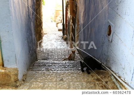 Safed is a city of Kabbalists in the north of the state of Israel, a holy city for Jews. Located at an altitude of 900 m above sea level in the mountains of the Upper Galilee 60362478