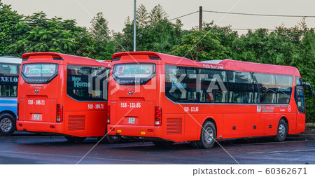 Group of Phuong Trang buses 60362671