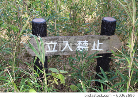 Signs of no trespass 60362696