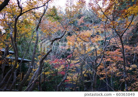 市井前館山莊別墅 市井前館山莊別墅 60363849