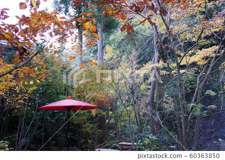 市井前館山莊別墅 市井前館山莊別墅 60363850