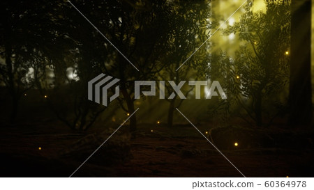 firefly in misty forest with fog 60364978