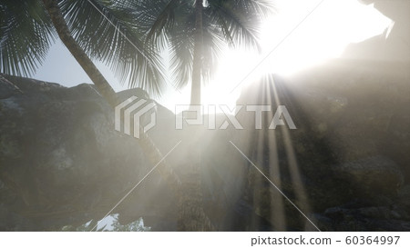 Big Palms in Stone Cave with Rays of Sunlight 60364997