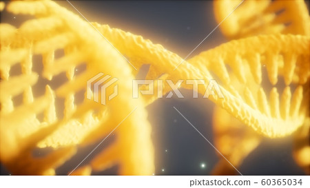 double helical structure of dna strand close-up double helical structure of dna strand close-up 60365034