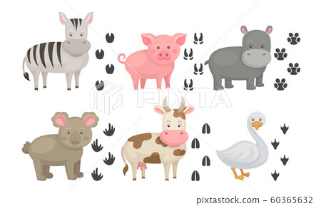 Cute Farm and Wild Animals and Their Paw Fingerprints Collection, Zebra, Pig, Hippo, Koala, Cow, Goose Vector Illustration Cute Farm and Wild Animals and Their Paw Fingerprints Collection, Zebra, Pig, Hippo, Koala, Cow, Goose Vector Illustration 60365632