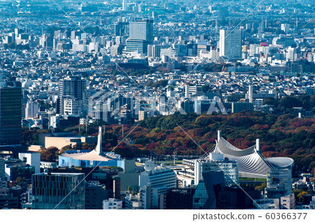Autumn Tokyo Autumn leaves and cityscape 2019.11 Yoyogi area Autumn Tokyo Autumn leaves and cityscape 2019.11 Yoyogi area 60366377