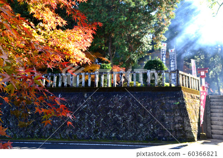 Saga Prefecture Taku City Scenery of autumn leaves walking course Saga Prefecture Taku City Scenery of autumn leaves walking course 60366821