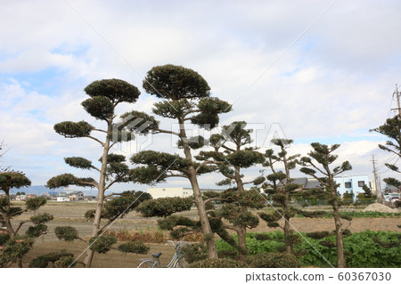 花園的花園 花園的花園 60367030