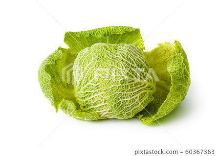 Cabbage 60367363