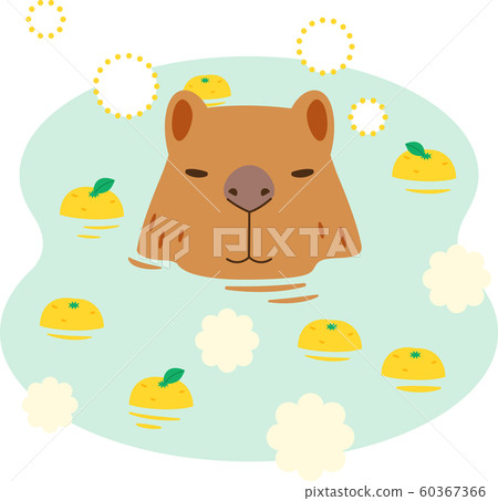 Capybara immersed in Yuzu hot water Capybara immersed in Yuzu hot water 60367366