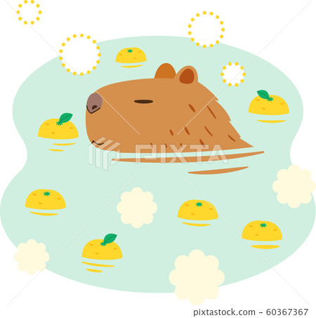 Capybara soaked in yuzuyu (landscape) 60367367