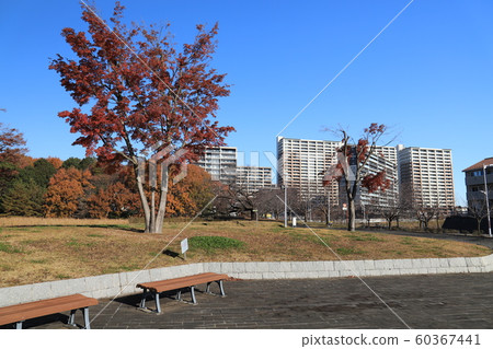 A condominium that you can see from the park 60367441