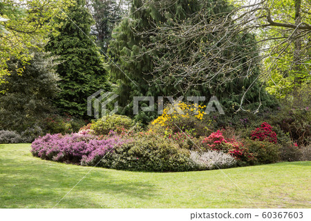 British city park 60367603