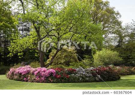 英國城市公園 60367604