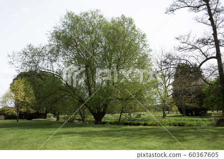 英國城市公園 60367605