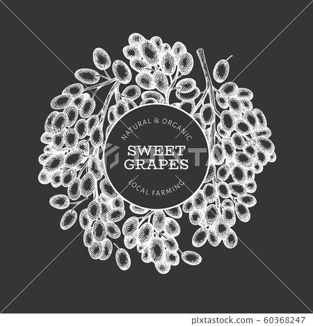 Grape design template. Hand drawn vector grape Grape design template. Hand drawn vector grape 60368247