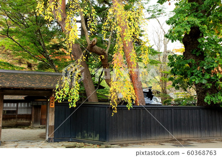 秋天角館 秋天角館 60368763