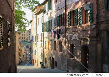 Sienna. Colorful streets of the old city 60369238